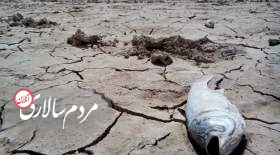 بدترین خشکسالی در ایران در استان سیستان و بلوچستان روی داده است.