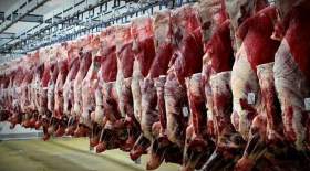 کاهش قیمت گوشت در تهران