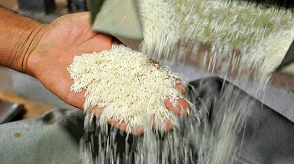کمبود برنج در کشور تا ۳ ماه دیگر