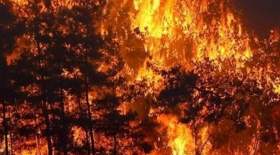 فوت ۴ نفر در آتش‌سوزی هایقر فیروزآباد