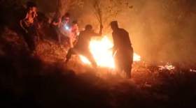آتش سوزی جنگلهای کوه "نیر" ادامه دارد