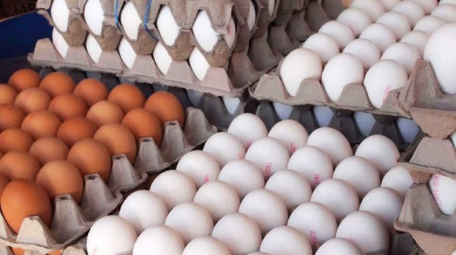دولت و باز هم راهکار موقت برای کنترل بازار تخم مرغ!