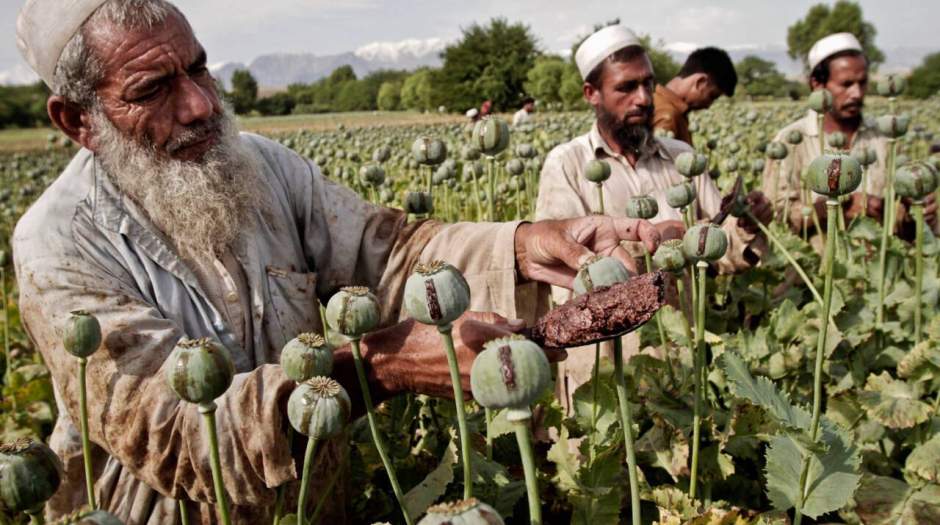 طالبان تولید مواد مخدر را ممنوع کرد