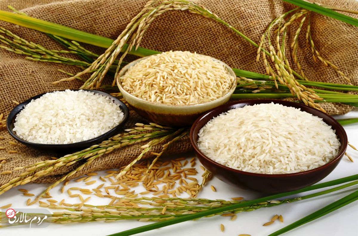 قیمت برنج به کمتر از ۸۰ هزار تومان می‌رسد؟