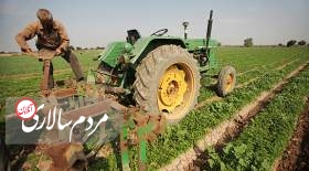 اهمیت کشاورزی و محصولات زراعی چیست؟