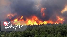 آتش سوزی در جنگل‌ های چالوس