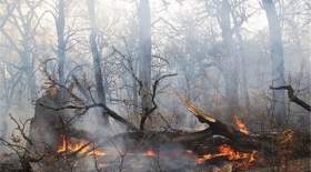 جزئیات آتش سوزی در جنگل‌های گیلان
