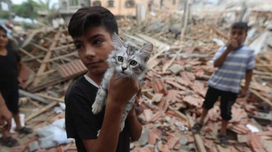 سازمان جهانی بهداشت: هر ۱۰ دقیقه یک کودک در غزه می‌میرد