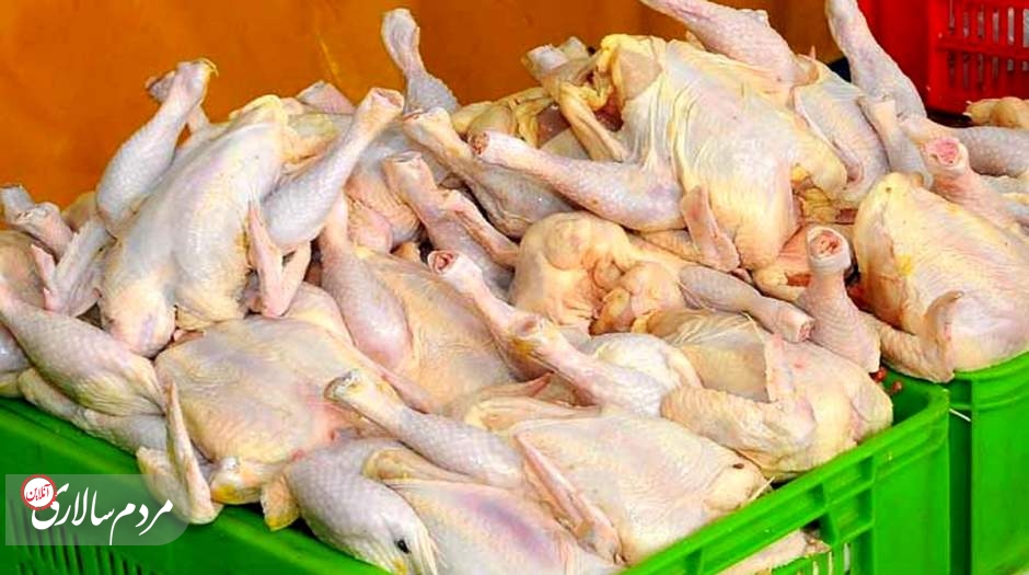 قیمت گوشت مرغ امروز در بازار