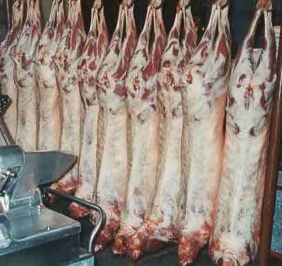 واردات گوشت آزاد شد