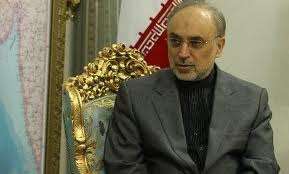 صالحی دیدار مقامات ایران و تركیه را درجهت ایجاد ثبات در منطقه دانست