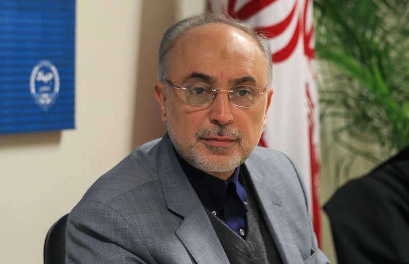 افزایش کارشناسان فنی تیم مذاکره‌کننده ایران با 1+5
