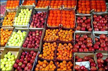 کیفیت میوه‌های تابستانی در سراشیبی سقوط