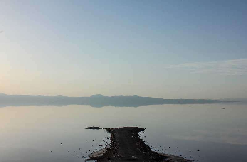 کاشت یک میلیون نهال در اطراف دریاچه ارومیه