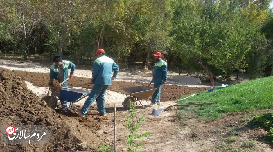 مدیران به جای آن که کاشت چمن را ممنوع کنند، یعنی صورت مسئله را پاک کنند، باید به راههایی امروزین برای مدیریت منابع آبی فضای سبز تهران بیندیشند.