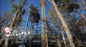 طرحِ برج‌باغ بسیاری از باغهای تهران را نابود کرده است.