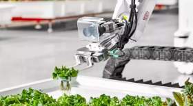 رباتی که سبزیجات می کارد