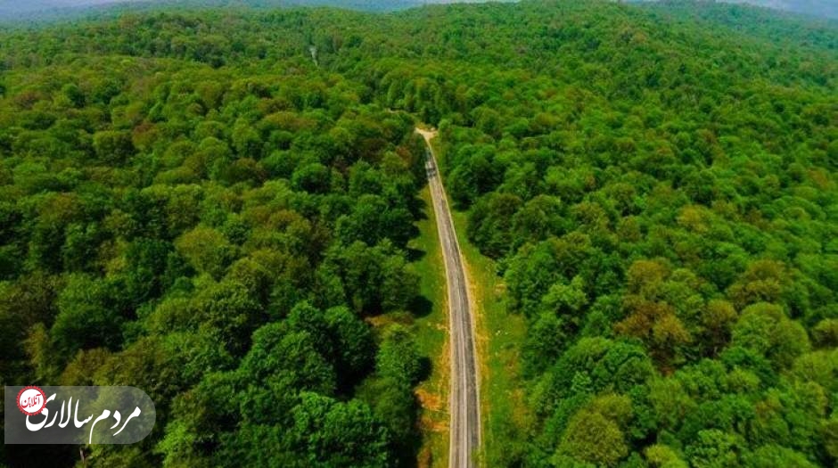 جنگل‌های هیرکانی ثبت جهانی شد