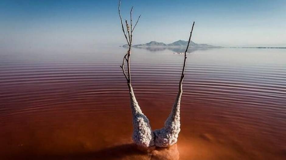 تکذیب وجود موجود عجیب در دریاچه ارومیه