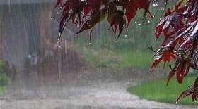 بارش باران در ۷ استان کشور از عصر امروز