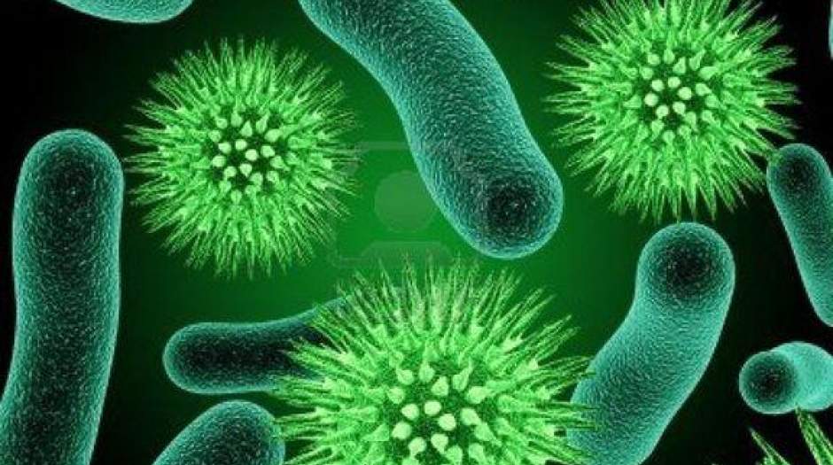 آیا میکروب‌ها در سلامت انسان نقش دارند؟