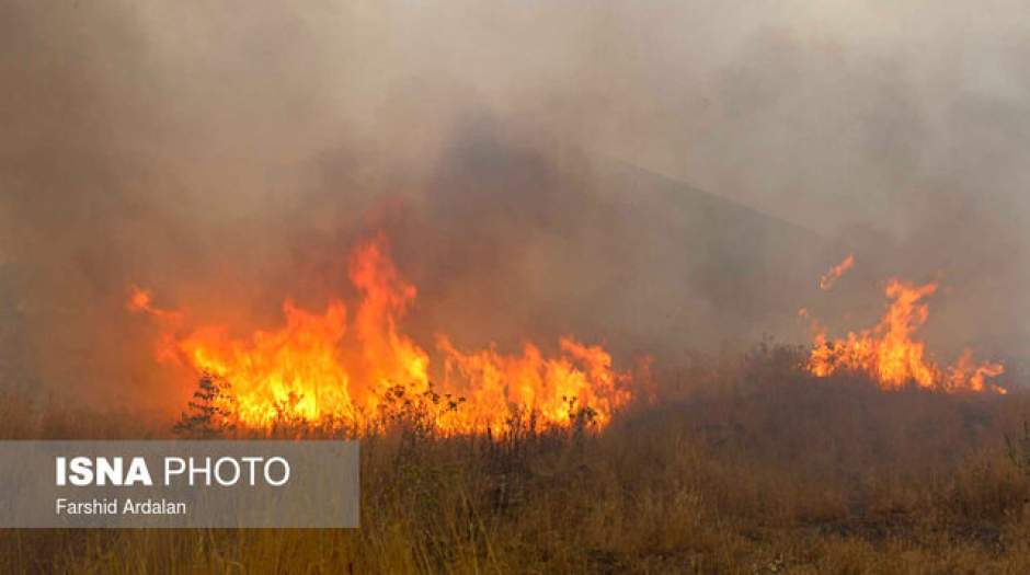 آتش‌سوزی در ارتفاعات کیان‌آباد شیراز