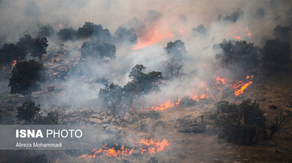 جنگلهای "دیل" گچساران در حال سوختن