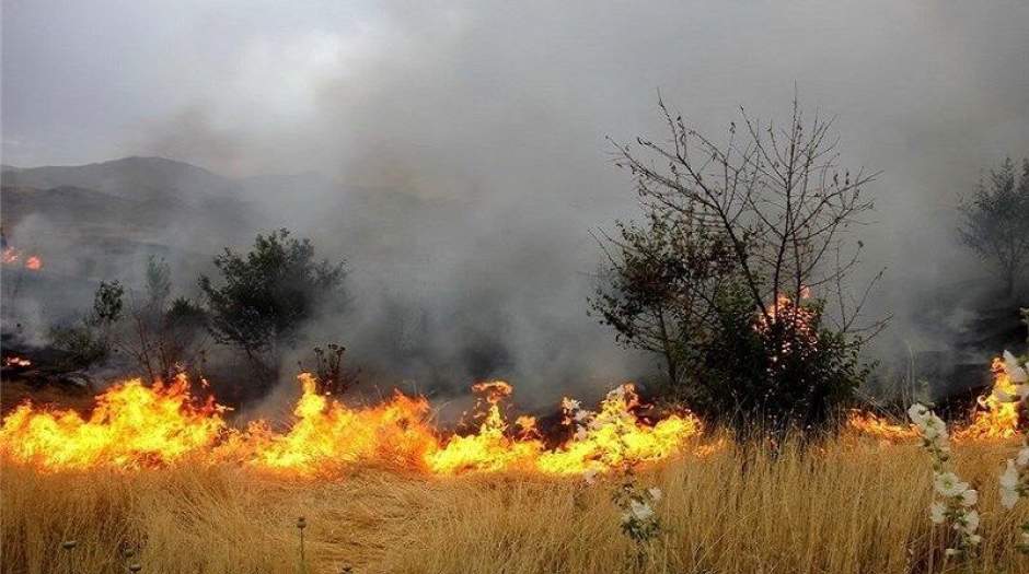 ‌آتش‌سوزی در مراتع چپانلو شیروان