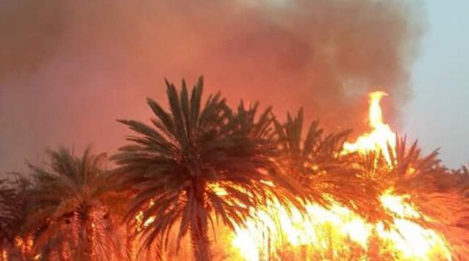 مهار آتش‌ در باغات سعدآباد