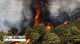 ادامه آتش سوزی در جنگل های رضوانشهر