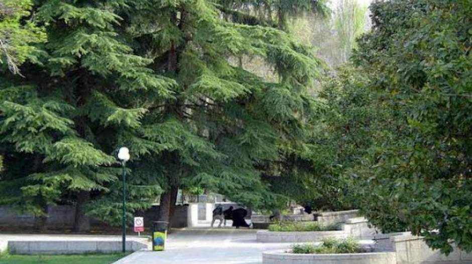 در بوستانهای تهران آتش روشن نکنید