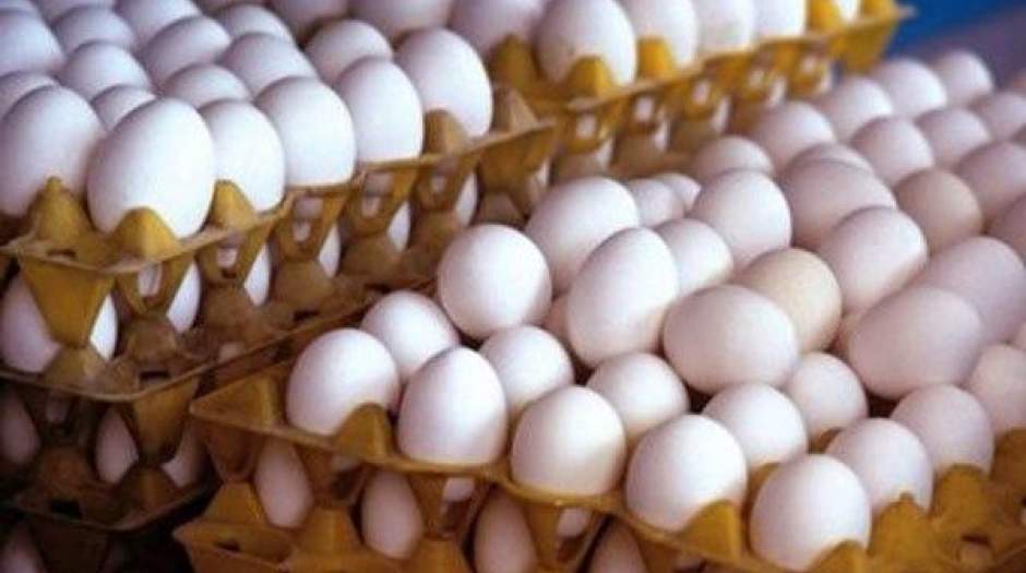 قیمت هر۱کیلو تخم‌مرغ ۹۵۰۰ تومان تعیین شد