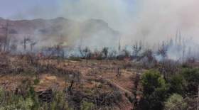 آتش‌سوزی در کوهپایه‌های دارآباد