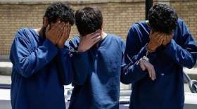پنجاه درصد سارقان امسال بار اولی هستند