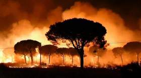 بازداشت آتش‌افروزان جنگل‌های خوزستان
