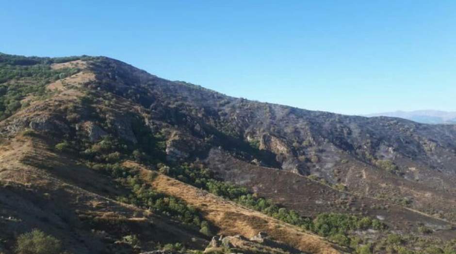 شروع مجدد آتش‌سوزی در آوارسین