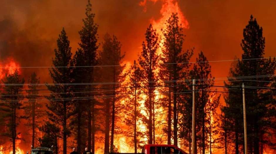 ۶ کشته در آتش‌سوزی در کالیفرنیا