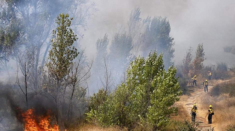 ادامه آتش‌سوزی در جنگل‌های گلستان