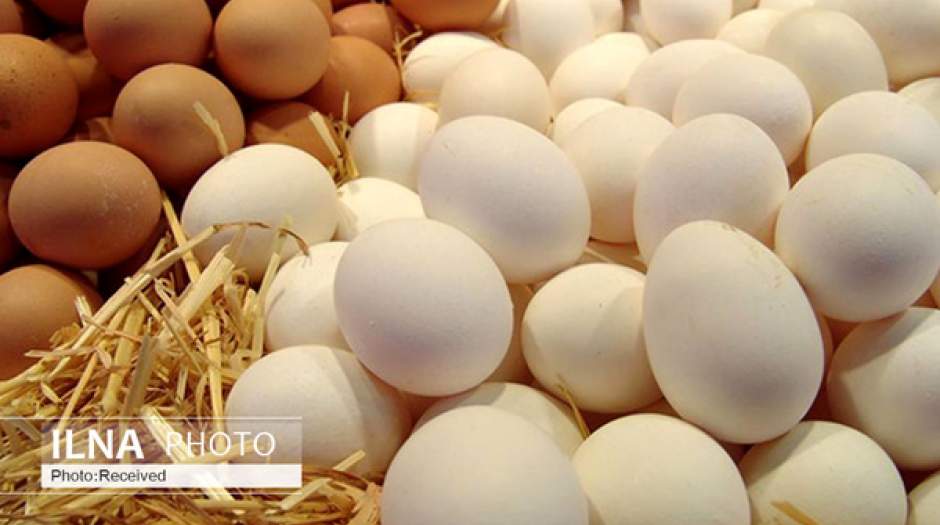 تمدید عوارض ۳۵۰۰ تومانی برای صادرات تخم‌مرغ