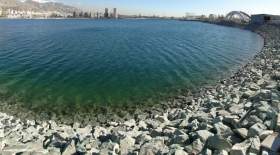 تکذیب وجود تمساح در دریاچه چیتگر
