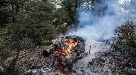 ۵۳ آتش‌سوزی در جنگل‌های گلستان در یک هفته