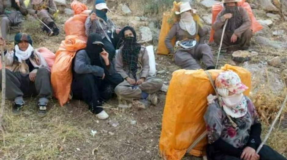 سرمایه‌های مملکت کجاست که زنان کولبری می‌کنند؟!