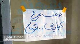 خانواده‌های کم درآمدی که پوست مرغ می‌خورند!