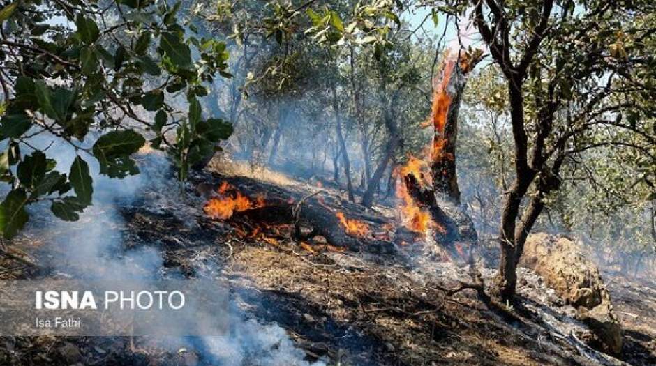 مهار آتش‌سوزی جنگل‌های کوه خامی