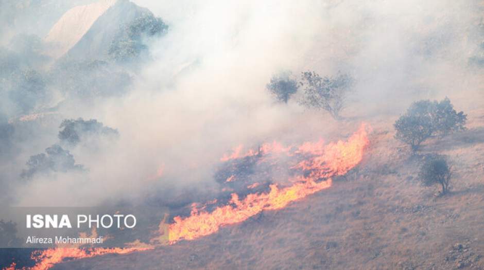 ردپای کشاورزان در آتش‌سوزی جنگل‌های باشت؟
