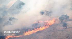 ردپای کشاورزان در آتش‌سوزی جنگل‌های باشت؟