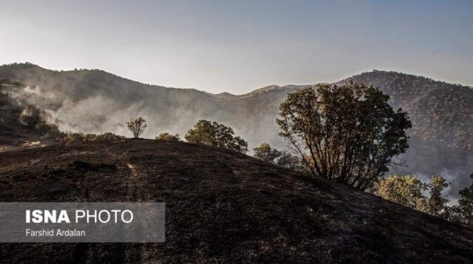 مهار آتش‌سوزی جنگل‌های سروآباد