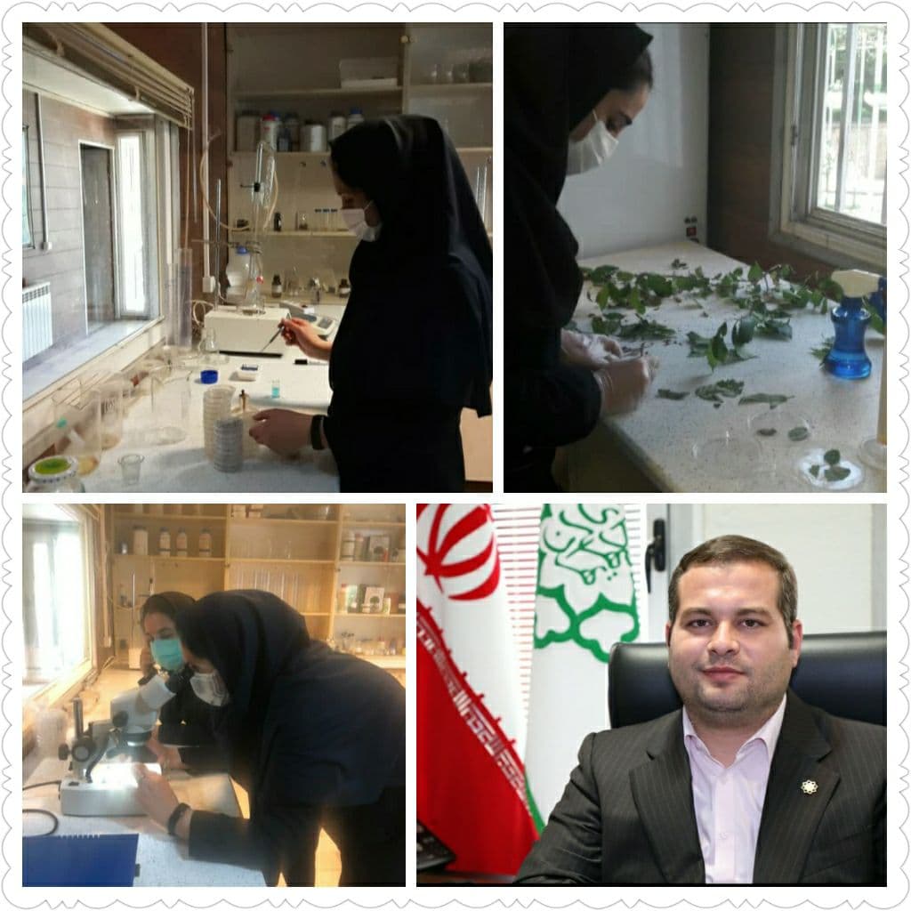 منطقه 9 قطب تحقیقات فضای سبز شهری