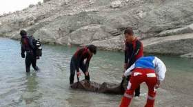 غرق شدن کودک ۳ ساله در کرمان