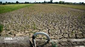 مازندران تا سال ۲۰۵۰ خشک‌تر میشود